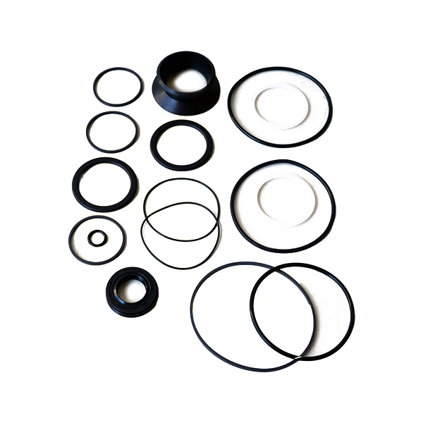 Dichtsatz für Raptor 4x4 Lenkgetriebe