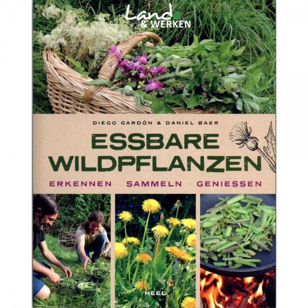 Buch, Essbare Wildpflanzen