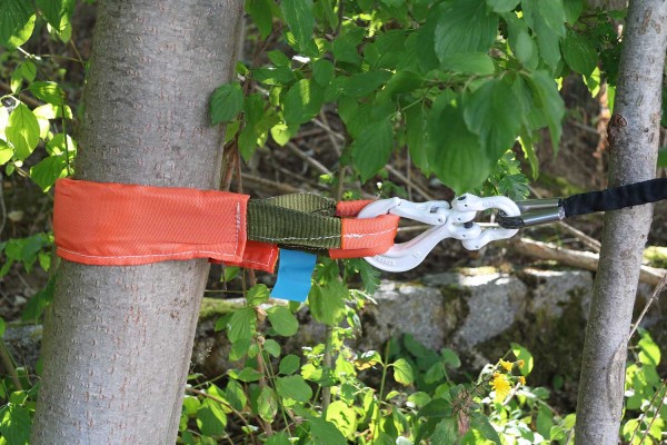 Tree anchor strap short