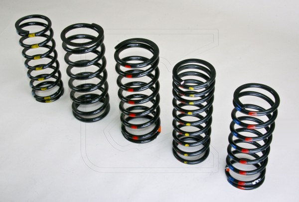 HD Springs for Land Rover Defender 90 - rear